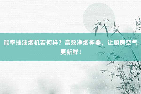 能率抽油烟机若何样？高效净烟神器，让厨房空气更新鲜！
